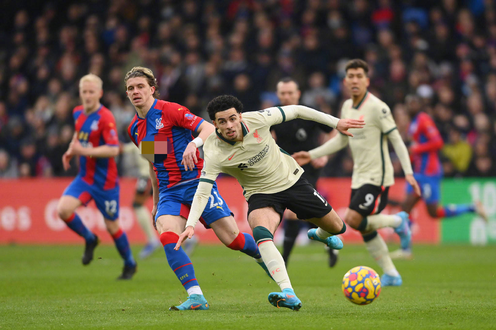 支持是促进 支持是促进