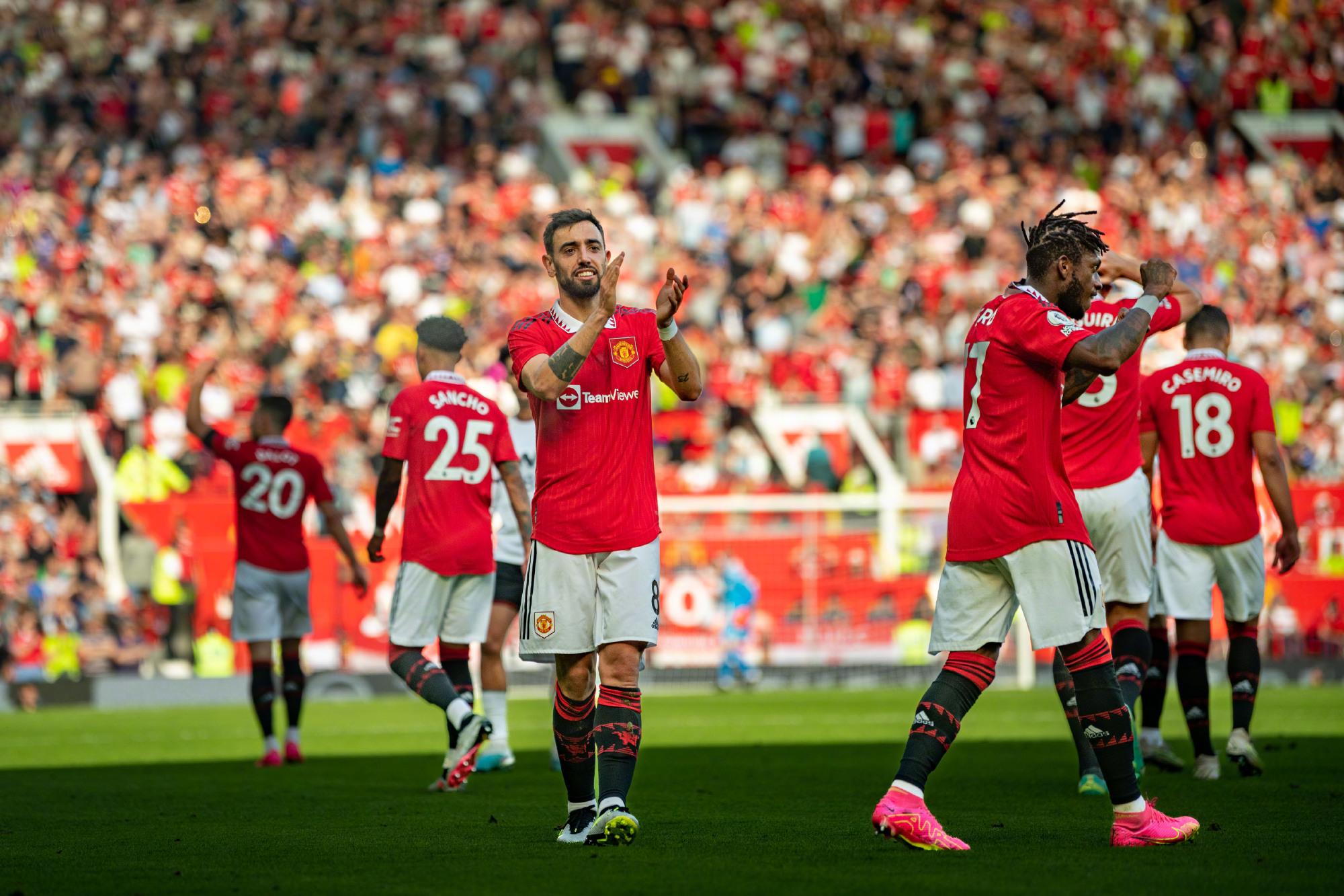 的稳健发挥 的稳健发挥