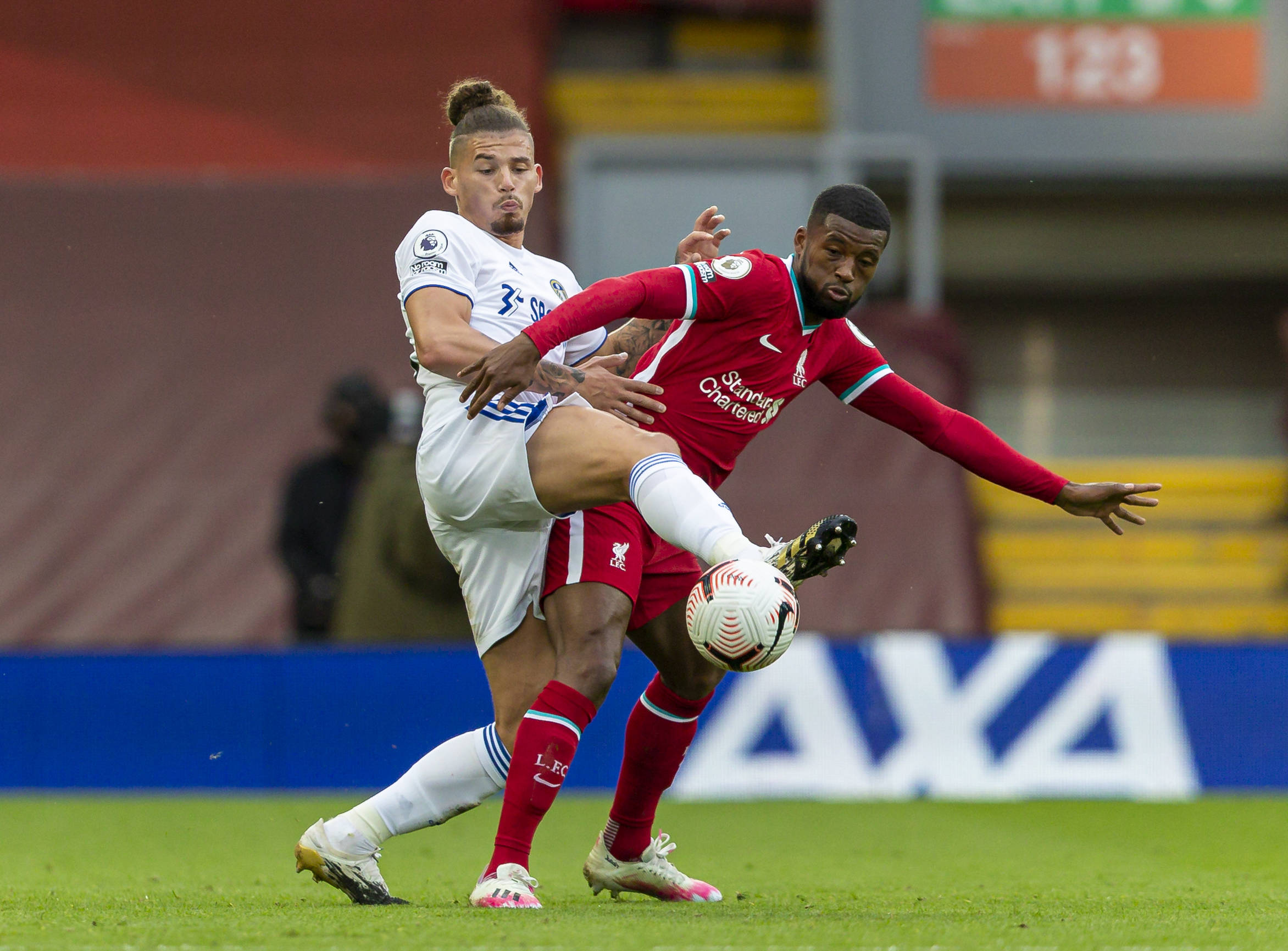 堅決反對歐 堅決反對歐